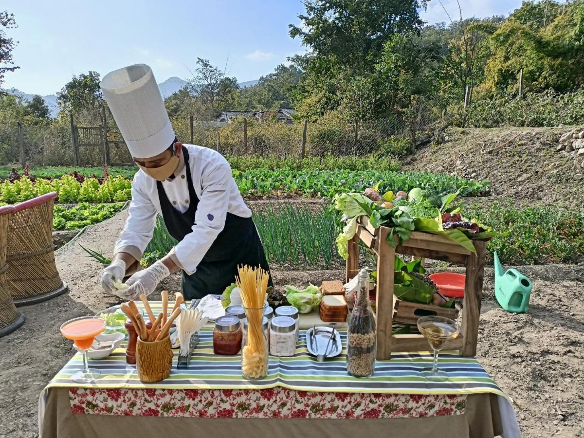 Paatlidun Safari Lodge, Jim Corbett Garjia Екстер'єр фото