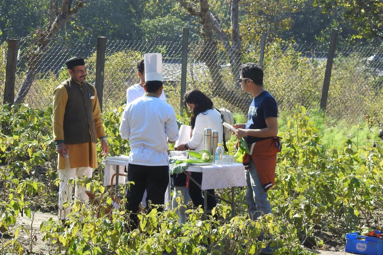 Paatlidun Safari Lodge, Jim Corbett Garjia Екстер'єр фото
